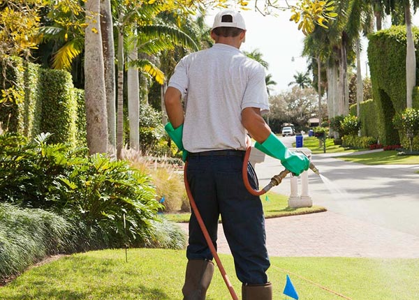 About Upton MA Pest Control Pros